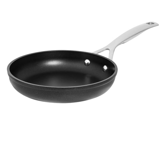 ignite Fry Pan