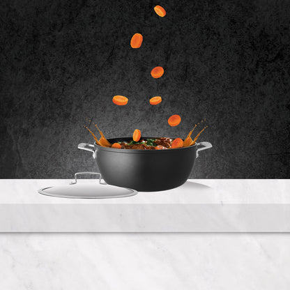 ignite Stew Pot
